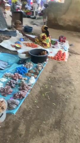 This media file depicts a bustling open-air market scene, likely in Reak, Nigeria. The primary subjects are the vendors and customers engaged in commerce. In the foreground, a woman sits on a blue tarp, displaying various food items, including what appears to be dried goods, spices, and possibly roots or tubers, neatly packaged in plastic bags. Beside her, a large black tub holds more produce, possibly potatoes. Further back, a woman in a vibrant yellow and green patterned dress is seated, surrounded by piles of tomatoes and onions.

The background reveals a lively marketplace with many people moving around. Some individuals are browsing stalls, while others appear to be in conversation. The setting is rustic, with a large, weathered tree trunk to the left and what looks like simple, open-air structures in the distance, suggesting a rural or semi-rural environment. The ground is dusty and uneven.

The overall atmosphere suggests a daytime event, possibly morning or afternoon, given the natural light. The weather appears to be fair. The image captures the vibrant energy of a local market, with the focus on the exchange of goods and the social interaction that accompanies it. The people's expressions, though not perfectly clear due to the resolution, suggest engagement and perhaps a sense of community. There is no visible text in the media file.