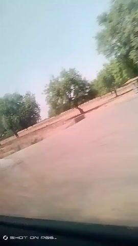 From inside a vehicle, the video shows a view of a rural landscape under a bright, clear sky. The camera moves, panning slightly across the scenery, revealing flat, dry land with scattered trees. Utility poles are visible along the roadside. The perspective is from the car, as evidenced by parts of the car frame occasionally appearing in the shot. The light is strong, suggesting daytime. The overall impression is of a journey through a sparsely populated, arid region.