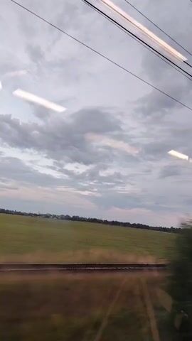 The video shows a view from a train window looking out at a landscape. The sky is cloudy with patches of pink and grey. Below the sky is a green field with a row of trees on the right side. A train track runs horizontally across the lower part of the image. The reflection of the train's interior, including fluorescent lights, can be seen on the window. The trees and landscape appear blurred due to the train's movement.