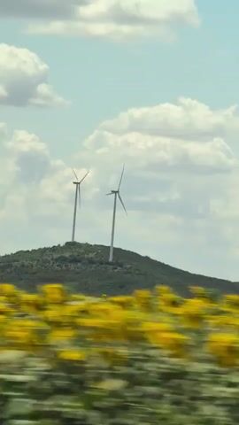 The video shows two wind turbines on a green hillside under a cloudy blue sky. In the foreground, a field of yellow flowers, likely sunflowers, is blurred, indicating movement, possibly from a vehicle. The scene suggests a rural landscape on a bright day.