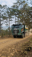 Morning forest journey documented near Da Lat, Vietnam