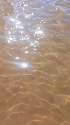A close-up, overhead shot of shallow, murky water, likely a riverbed or lake bottom, with sunlight reflecting off the surface in shimmering patterns. The bottom appears sandy or silty, with subtle ripples and undulations. Several small fish, appearing light in color, swim in various directions within the frame. One fish is visible at 00:01, another at 00:02, and a few more at 00:03 and 00:04. The water is clear enough to see the bottom and the fish, but the color is a muted brown-tan, indicating sediment or algae. The overall impression is one of a natural, tranquil aquatic environment.