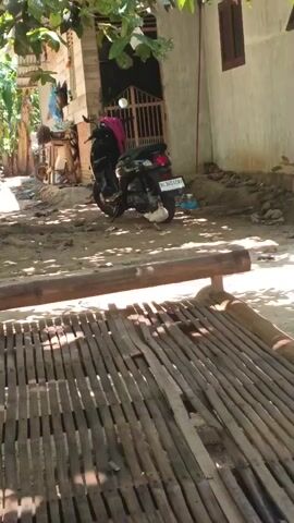 A short video clip shows an outdoor scene with a dirt ground littered with debris. In the middle ground, a black motorcycle with a pink bag on the seat is parked. To the right of the motorcycle, a white chicken pecks at the ground. Behind the motorcycle is a gated entrance. To the right of the motorcycle and chicken, a reddish-brown plastic chair is visible in the foreground. The scene is lit by natural light filtering through trees overhead.