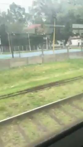 The view from a moving train shows a green, grassy area adjacent to the tracks. A low, gray concrete wall runs parallel to the tracks, partially obscured by greenery. Graffiti reading "Tipper" is visible on the wall. Trees are in the background. Overhead wires are visible in the sky. The day appears overcast.