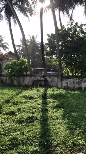 Wildlife and rainbow spotted in Dondra, Sri Lanka