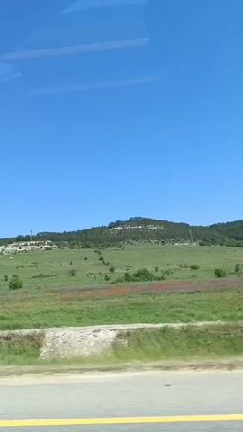 The video captures a bright, sunny daytime view of a rural landscape, seemingly filmed from a moving vehicle. The foreground features a grey asphalt road with a prominent yellow double line. A silver BMW, bearing the license plate "M007HA 777" (a Moscow region code), briefly passes by on the road at approximately 0:01. Part of a person's silhouette is visible in the bottom right, suggesting the footage is taken from inside another vehicle.

The mid-ground is dominated by expansive green fields, dotted with scattered bushes and vibrant patches of red or purple wildflowers. A tall, slender white pole stands in the mid-ground at 0:01, possibly a utility pole or light post.

In the background, a range of gentle hills or mountains rises under a clear, vibrant blue sky. The slopes of these hills are covered with dense green trees, with some lighter, possibly rocky, patches visible on the upper parts. The overall scene depicts a serene and open natural environment, suggesting a countryside drive in the Зеленогорское сельское поселение, Ukraine, despite the Russian license plate visible on the passing car.