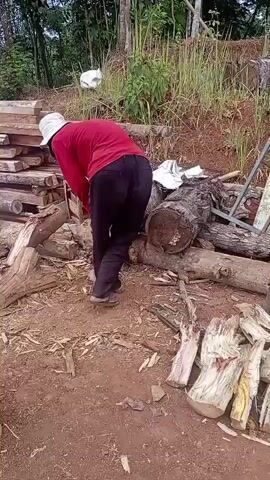 A person wearing a red shirt, dark pants, and a white hat is squatting on the ground. They are holding a tool, possibly an axe or hammer, and appear to be working on a pile of logs. There are many logs and pieces of wood scattered around the person and in the background. The environment appears to be outdoors, possibly a wooded area or a construction site, with dirt ground and vegetation visible.