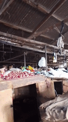 Food market vendors serve customers during afternoon hours