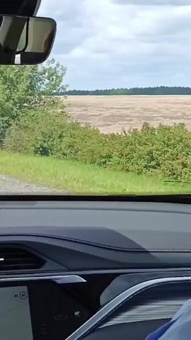 The video shows the view from inside a car. The dashboard is visible in the foreground. Outside the car, there are green trees and bushes, and a field in the distance. The sky is cloudy. The car appears to be moving. There are no people clearly visible in the video, but a person's arm is visible in the lower right corner. There is a signpost with red and white markings on the side of the road. There is also a tall structure, possibly a tower, in the distance.