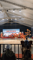 Traditional dragon dance performance draws crowds in Da Lat, Vietnam