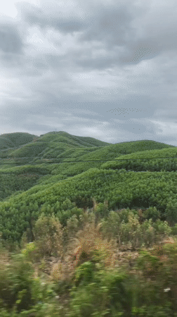 Aê Thi, Vietnam