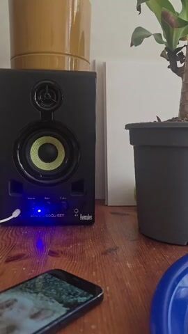 A speaker plays music on a wooden table, next to a potted plant and other items. The speaker is black with a green and black speaker cone, and a blue light is visible on the front panel. A cell phone with a screen displaying a landscape lies on the table. A yellow ceramic pot sits on top of a white panel, behind the speaker. A houseplant in a black plastic pot is to the right of the speaker.