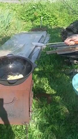 A person in a grassy outdoor setting is using a slotted spoon to transfer diced potatoes from a light blue bowl into a black cauldron that is sitting on a rusty metal outdoor stove. The cauldron contains oil and some potatoes are already frying. In the background, there is green foliage and stacks of wood and metal sheets.