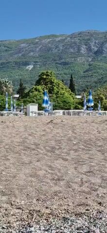 The video captures a serene panoramic view of a beach in Bečići, Montenegro, on a bright, sunny day. The foreground features a wide expanse of light brown, coarse sand mixed with small pebbles. In the mid-ground, numerous blue and white striped beach umbrellas are neatly arranged in rows, accompanied by white sun loungers. These beach amenities are backed by a line of lush green trees and other vegetation.

As the camera slowly pans from left to right, a large, modern hotel complex with light-colored facades comes into view behind the beach and trees. The word "SPLENDID" is clearly visible on one of the hotel buildings, identifying it as the Hotel Splendid Resort & Conference Center. Towering green mountains, covered in trees and with visible rocky patches, form a dramatic backdrop under a clear blue sky, extending across the entire scene.

No people are present on the beach or near the hotel, creating a peaceful and quiet atmosphere. The clear weather, bright sunlight, and neat arrangement of beach furniture suggest either an early morning scene before crowds arrive or an off-season period.