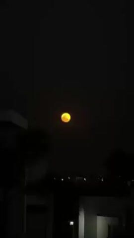 The video shows a night scene of a bright, orange-colored full moon in a dark sky. Below the moon, the silhouettes of buildings and trees are visible. The camera zooms in on the moon, focusing on its surface texture and color.