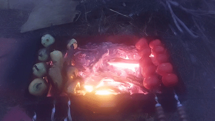 Backyard barbecue in rural Ukraine, meat and vegetables over open fire