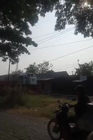A train is passing by on railroad tracks. The train is white and grey with red accents. The sun is shining and there are trees with leaves in the foreground. There are also power lines in the background. A motorcycle is visible in the bottom left corner of the frame.