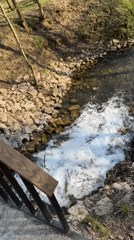 Spring park visit captured along stream in Shcherbakovka