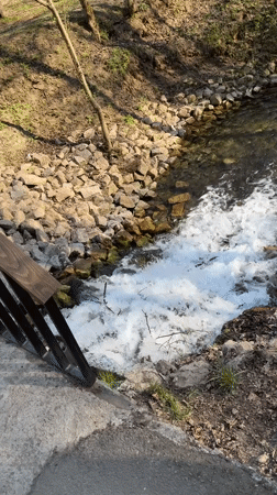 Spring park visit captured along stream in Shcherbakovka