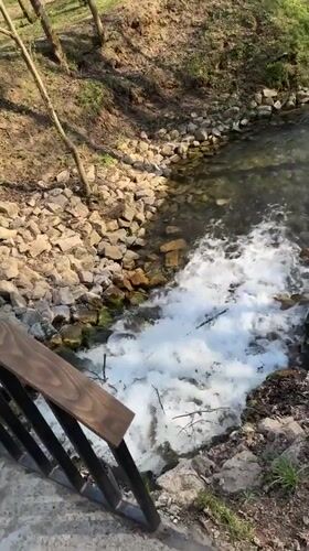 Spring park visit captured along stream in Shcherbakovka