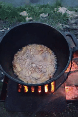 Domestic moments: cooking, pets, child, outdoor gathering captured