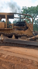 Yellow bulldozer observed on dirt ground near trees