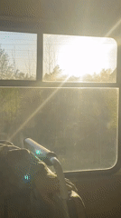 Passenger rides sun-lit bus in Ol'khovskoye, Russia