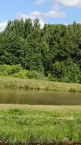 The video shows a pond surrounded by lush green trees and grass under a partly cloudy blue sky. In the distance, on the far side of the pond, there are several structures, including a green building and what appear to be covered picnic areas or gazebos. The water is calm with some reflections of the trees and sky. There are some reddish-orange objects visible near the water's edge on the far bank. A small orange boat or piece of equipment is in the water on the right side of the pond in the early frames. The camera pans slowly from left to right, revealing more of the pond and its surroundings. The scene appears to be a serene park or recreational area.