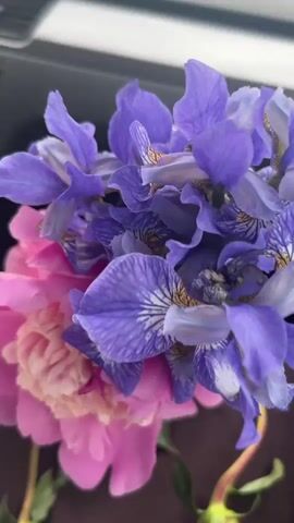 The video opens with a close-up of a bouquet of purple irises and a pink peony, with the flowers filling most of the frame. The camera then pans out to reveal the bouquet is being held inside a car. The perspective shifts to a view through the car window, showing a dense forest of green trees bordering a road. A side-view mirror reflects the interior of the car and a cloudy sky. The video continues to show the passing trees and the cloudy sky as the car moves along the road.