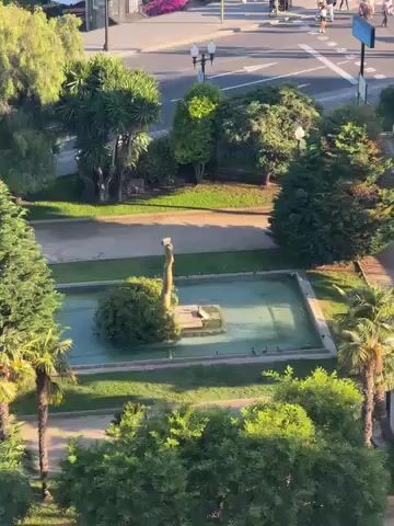 The video presents an aerial, panning shot of a vibrant urban landscape in Tarragona, Spain, during what appears to be the late afternoon or "golden hour," characterized by warm sunlight and visible shadows.

The initial view (0:00-0:01) focuses on a public park area. In the foreground, a rectangular fountain with light blue water features a central bush crowned by a light-colored sculpture, possibly depicting a bird. Several birds are seen near the water. The park is lush with green lawns, pathways, and numerous trees, including distinct palm trees. Beyond the park, a busy street is visible with cars (white and red) and pedestrians walking along sidewalks and a crosswalk.

As the camera pans to the right (0:01-0:02), more of the street and its activities come into view. Pedestrians are actively using a crosswalk, and vehicles are seen moving. A portion of a playground, identified by white sun shades, is visible adjacent to the street.

The pan continues further right and slightly upwards (0:02-0:03), revealing a multi-lane roundabout with cars navigating it. Three tall flagpoles stand prominently near the roundabout, each flying a red and yellow striped flag, consistent with the Catalan flag (Senyera). The background features more green, tree-covered hills and urban structures.

The scene captures a dynamic interaction between green park spaces and a bustling city environment, with people walking, driving, and enjoying the outdoors under clear, sunny skies. No discernible text is visible.