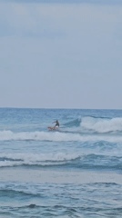 Beachgoers surf, walk dogs, exercise at Sri Lankan coast