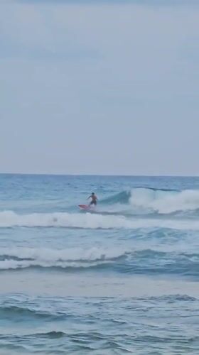 Beachgoers surf, walk dogs, exercise at Sri Lankan coast