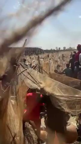 The video shows a crowd of people fishing with nets in a shallow body of water. The scene is densely packed with people, many of whom are waist-deep in the water. Numerous fishing nets are visible, some held aloft by individuals or propped up on the muddy ground. The sky is blue with scattered clouds. The ground appears to be muddy and somewhat barren. The overall atmosphere seems lively and communal.