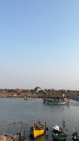 A wide shot captures a tranquil bay under a clear, bright sky. In the foreground, three small boats are moored, one yellow, one teal, and one white. The yellow boat is in the center, with the teal boat to its right and the white boat further to the right, mostly out of frame. Behind these moored boats, a larger fishing boat with a green hull and a white canopy navigates the water, leaving a gentle wake. Several other smaller boats are scattered across the bay, and a line of houses with red roofs and some trees dots the distant shoreline. The overall atmosphere is calm and serene, indicative of a peaceful coastal setting.