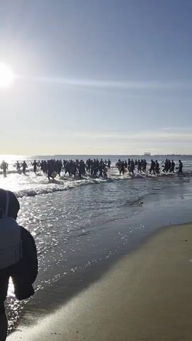 On a sunny day at the beach, a crowd of people is wading into the ocean. Many other people are standing on the sandy shore watching and taking photos. The ocean is a light blue, and the sky is clear with some light clouds. A cityscape is visible in the far distance.