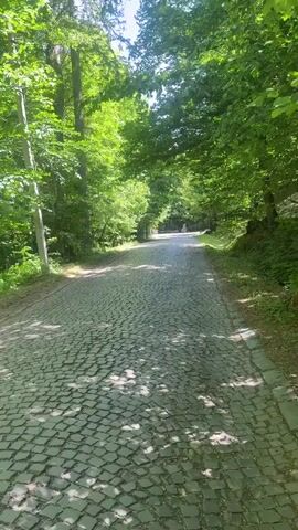 The video shows a cobblestone road lined with green trees on both sides. Sunlight filters through the trees, creating dappled shadows on the road. The road appears to be slightly uphill. The environment is green and natural. There are no people visible in the video.
