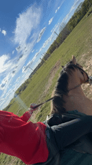 Horse rider crosses field in rural Belarus