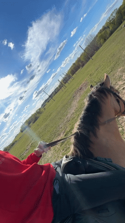 Horse rider crosses field in rural Belarus