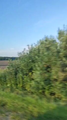 The video shows a landscape view from a moving vehicle. The foreground is dominated by blurred green vegetation, suggesting rapid movement. Beyond the vegetation, a vast, flat, cultivated field stretches across the mid-ground, appearing brown or bare earth. A dense line of green trees forms the horizon, separating the field from a clear, light blue sky with a few wispy white clouds. The overall impression is of rural scenery passing by on a sunny day.