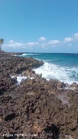 The video shows a rocky coastline with the ocean. The waves are crashing against the rocks, creating white foam. The sky is blue with some white clouds. There are a few palm trees in the distance. The camera is positioned low, looking up at the scene. The overall impression is one of a wild and beautiful natural landscape.