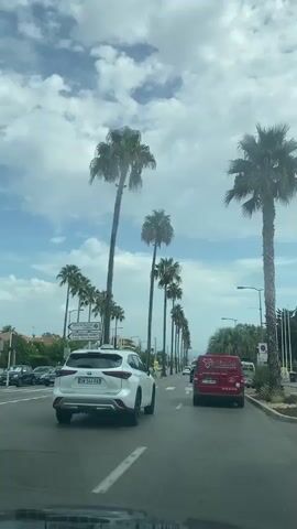 The video shows a POV shot from inside a vehicle driving down a road lined with tall palm trees. Several cars are visible on the road, including a white SUV in the foreground and a red van behind it. The sky is partly cloudy. There are also streetlights and signs along the roadside. The road appears to be in a coastal or tropical location.