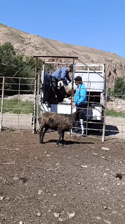 Naryn City, Kyrgyzstan