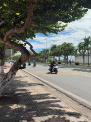 Daily life documented across Nha Trang streets during sunny morning
