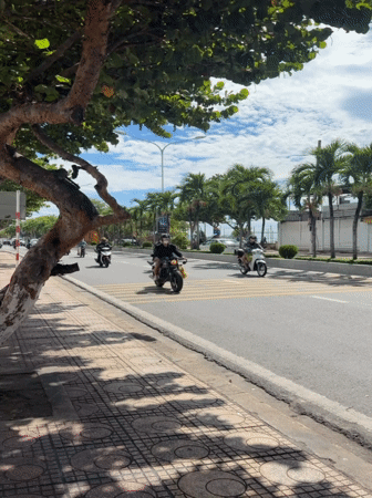 Daily life documented across Nha Trang streets during sunny morning