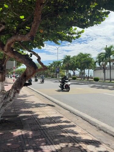 Daily life documented across Nha Trang streets during sunny morning