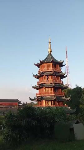 The video shows a pagoda with multiple tiers and a gold-colored spire against a clear blue sky. To the left of the pagoda, there is a building with red walls and a dark roof. In the foreground, there are green bushes and trees. A cell tower is visible in the distance behind the pagoda. The video is shot from a slightly low angle, looking up at the pagoda. The lighting suggests it is either early morning or late afternoon. The camera pans slightly to the left and then zooms out, revealing more of the surrounding landscape, including more greenery and the red-roofed building in more detail. The scene is peaceful and serene.