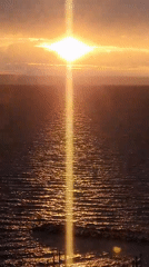 Sunset over Volga River documented with dog sighting in Ulyanovsk
