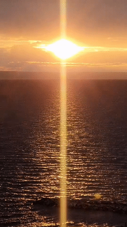 Sunset over Volga River documented with dog sighting in Ulyanovsk