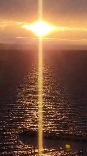 Sunset over Volga River documented with dog sighting in Ulyanovsk