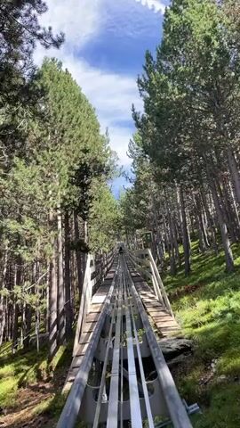 The video shows a first-person perspective of someone riding a roller coaster or alpine slide through a dense forest. Tall pine trees line both sides of the track, which is made of metal rails and wooden planks. The sky is blue with some white clouds. The rider's feet and the front of their green sled are visible in the foreground. The camera is angled upwards, emphasizing the height of the trees and the descent of the track. There are signs with numbers visible along the track, indicating markers or stations. The overall impression is of a thrilling ride through a natural landscape.